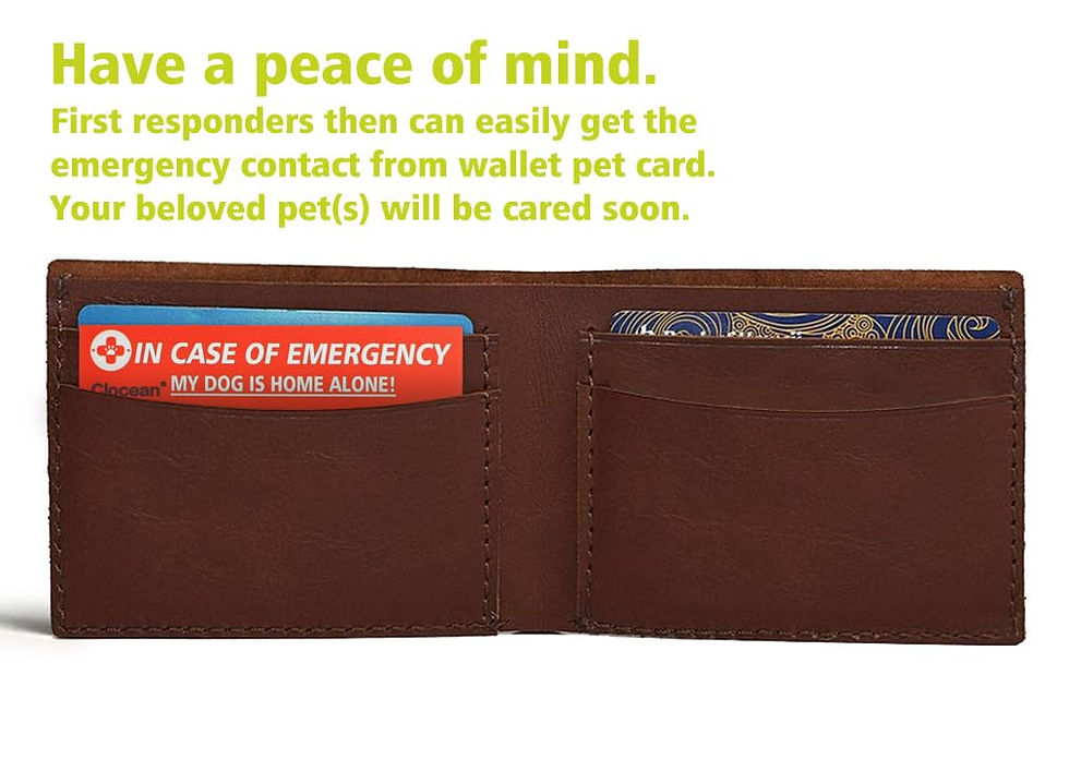 Thumbnail: My Dogs are Home Alone Alert Key Tag Keychain Emergency Contact Wallet Card F...