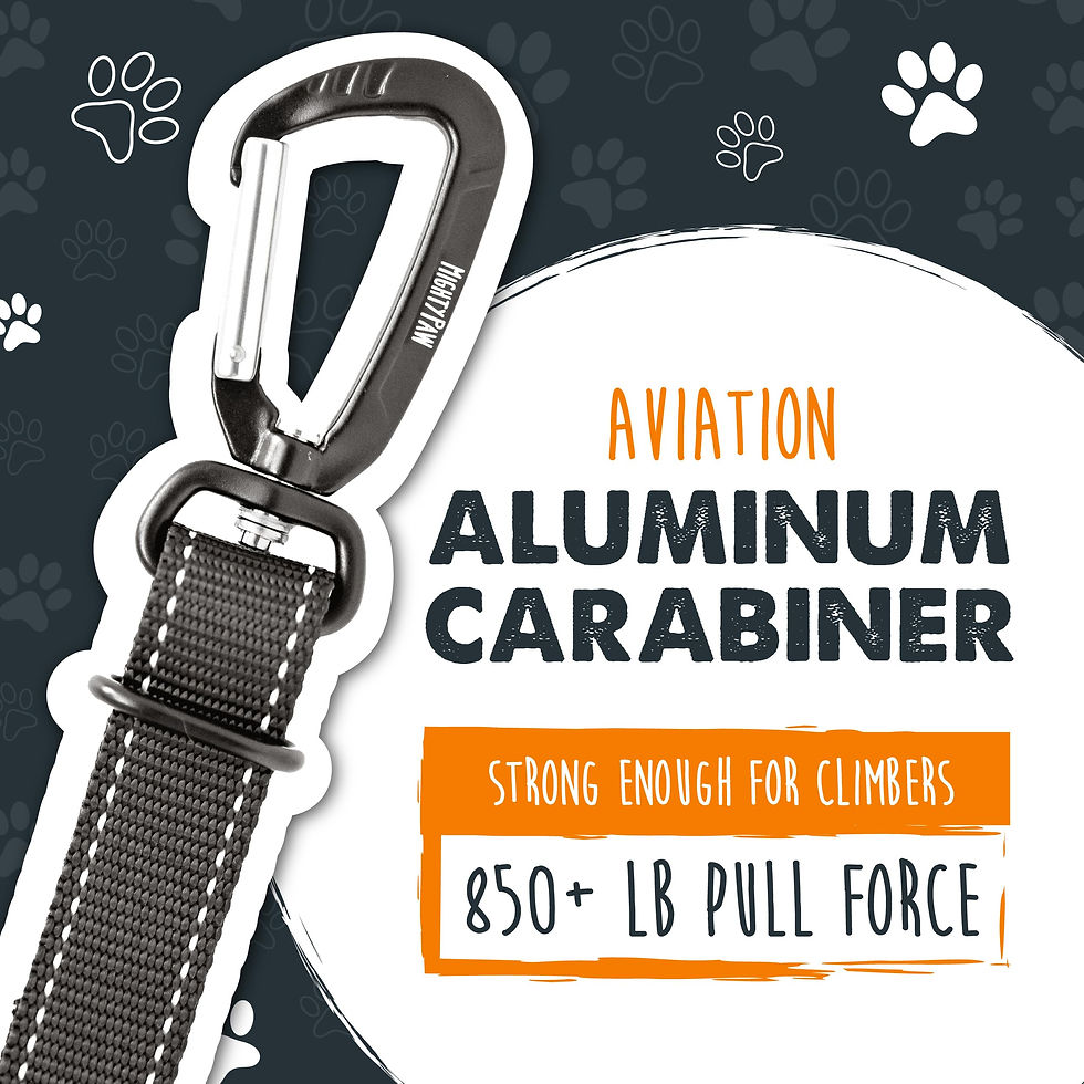 Thumbnail: Mighty Paw Dog Seat Belt for Car - Safe Distraction Free Driving, Heavy-Duty ...