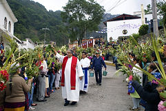 Bendición de palmas el Domingo de Ramos