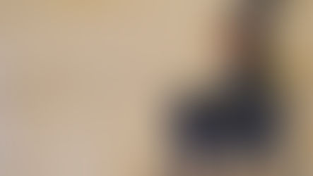 Storia del mulo e dell'albero caduto: ovvero, cosa sono le Tentate Soluzioni