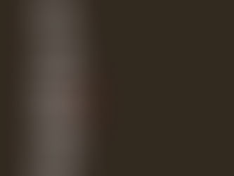 Shoganai: l'arte di vincere senza combattere