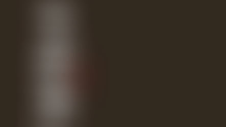 Shoganai: l'arte di vincere senza combattere