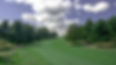 #-9-Woodlands-BH-©-J.-Krajicek-DSC_5461.