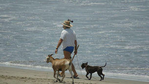 Tim walking his goat and dogs