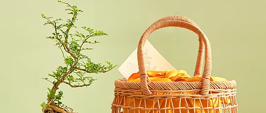 Kokedama Cần Thăng