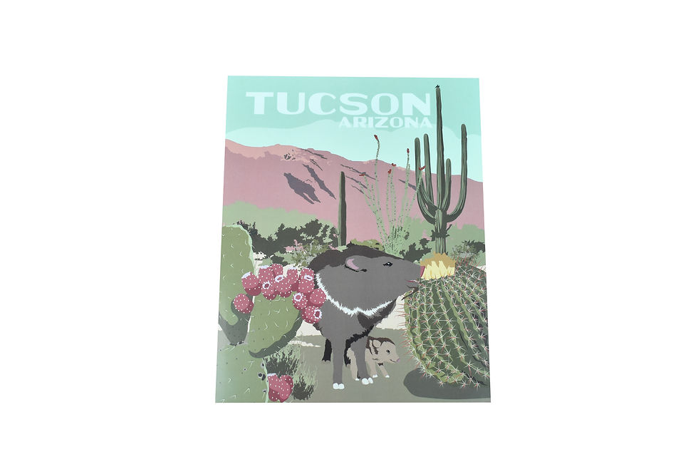 Print | 8 x 10 | 11 x 14 | Javelina & Baby | Tucson