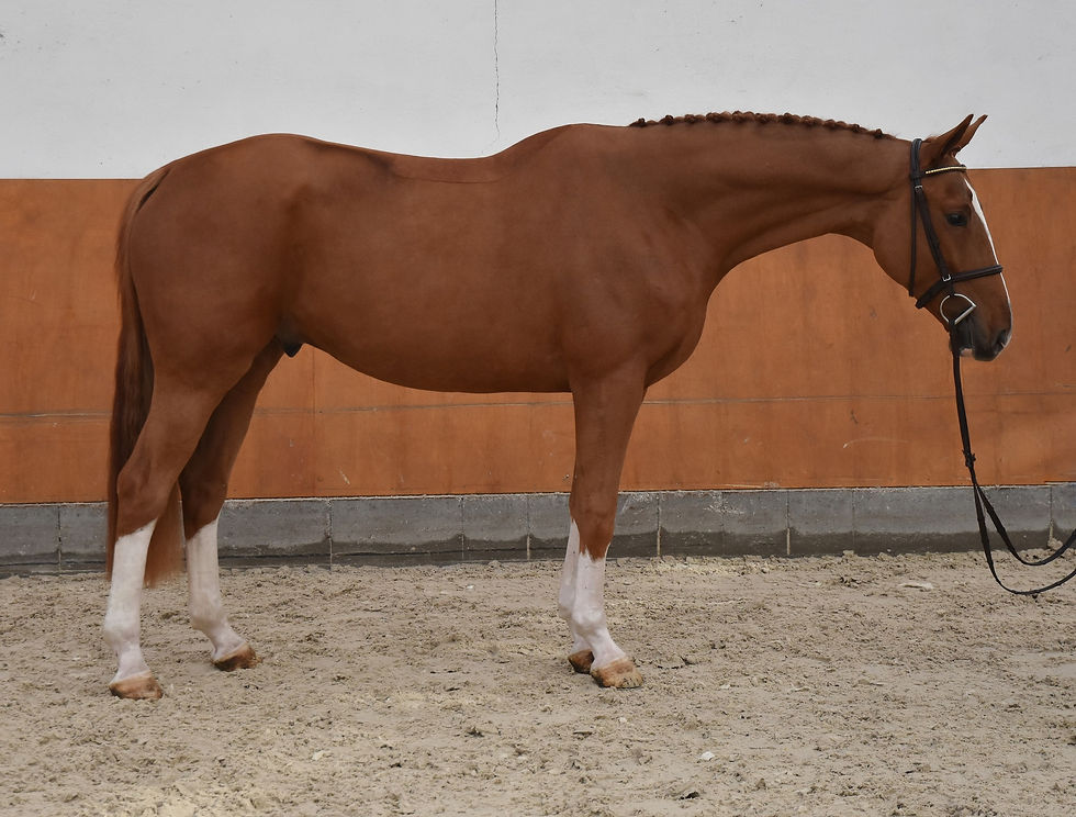 579984782_24987608717600887_4116342830991904093_n