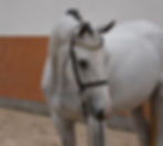 493120126_9617446301710378_7566530214090577375_n