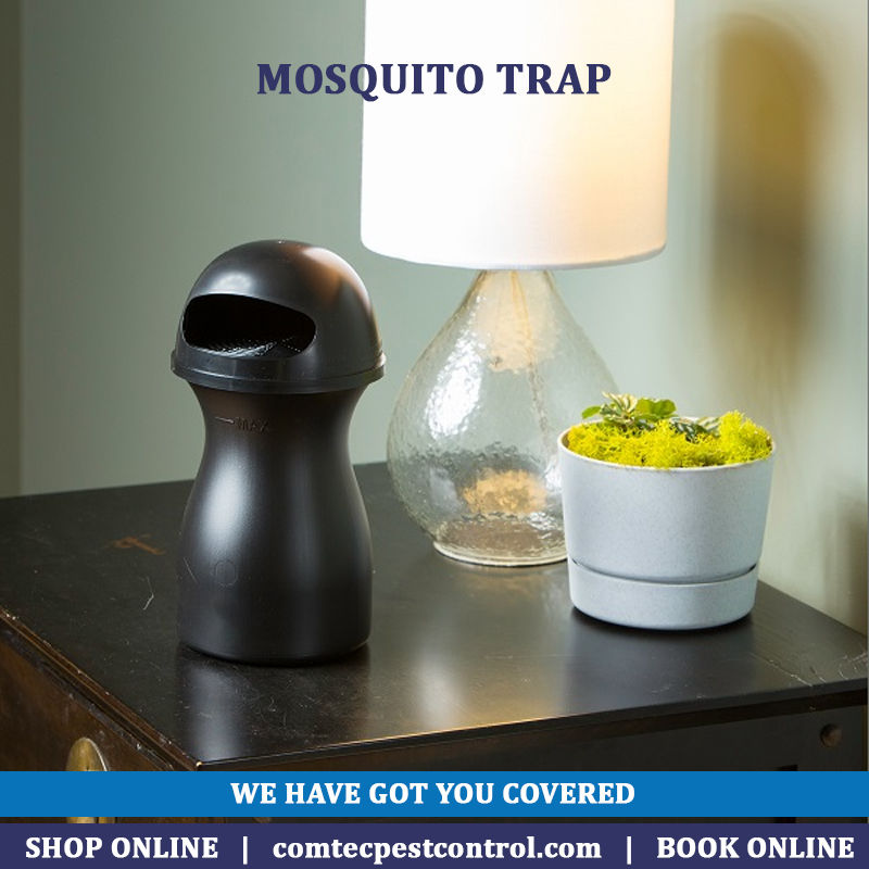 Thumbnail: Mosquito Trap