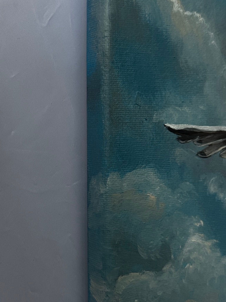 Thumbnail: Bill Greenhead - Seagull Sailing