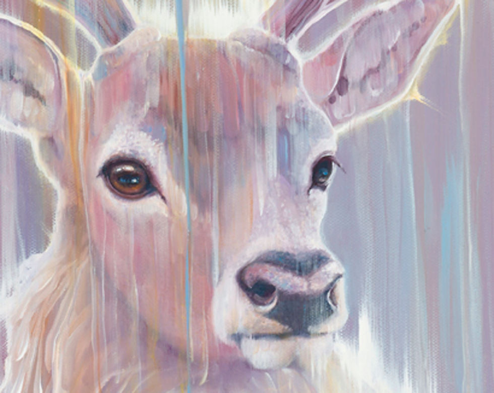 Thumbnail: Gill Bustamante - Stag Materializing