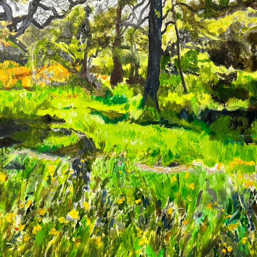 Thumbnail: Catherine Farr - Great Dixter, Winter Opening, March