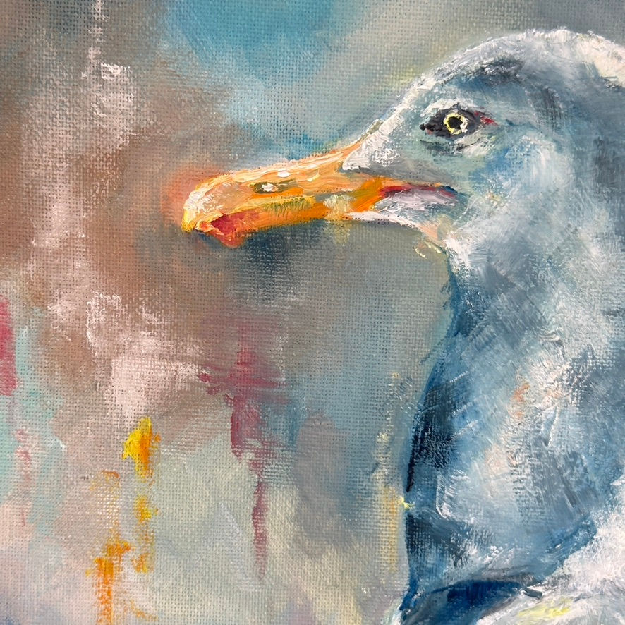 Thumbnail: Kate Ogilvie - Sunset Seagull 2