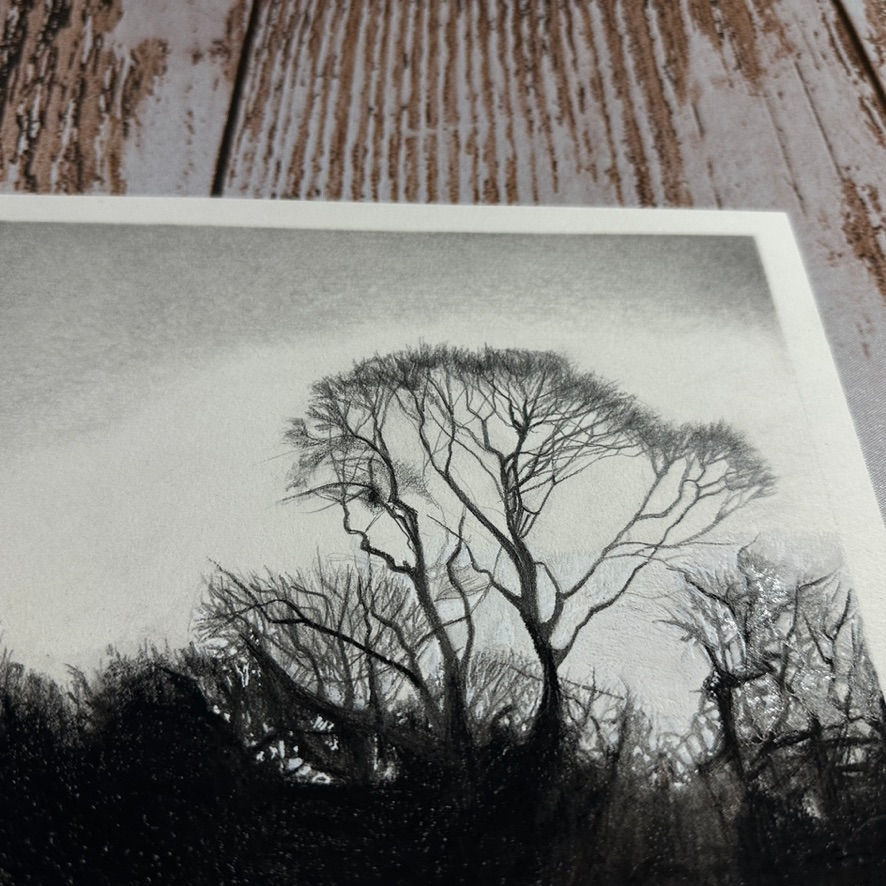 Thumbnail: Lisa Punter - Reflections 5