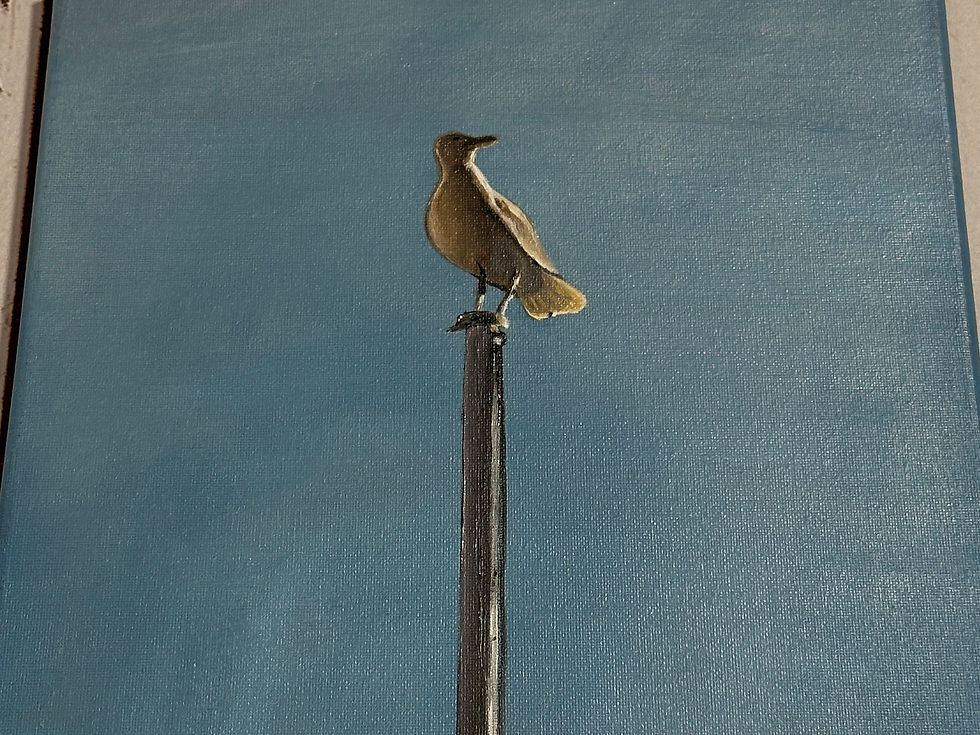 Thumbnail: Bill Greenhead - King Gull