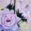 Thumbnail: Dawn Rodger - Peonies and Promises