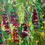 Thumbnail: Catherine Farr - Meadow with Gladioli