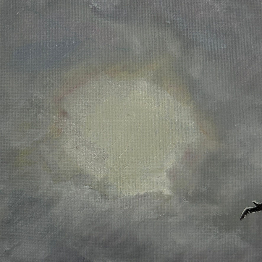 Thumbnail: Bill Greenhead - Seagull sailing in clouds over St. Leonards
