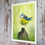 Thumbnail: Luke Brabants - Bluetit