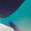 Thumbnail: Luke Brabants - Winter silhouette 1