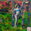 Thumbnail: Anna Bachene -Ladies near the woods