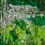 Thumbnail: Catherine Farr - Edge of Meadow with Spotted Orchids and Water Liles
