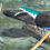 Thumbnail: Jeremy Bear - Mandarin Ducks in Sussex
