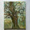 Thumbnail: Elana Tree - Penzance Tree