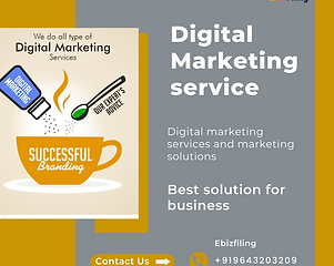 Digital Marketing service.png