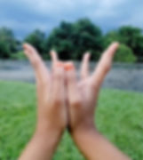 lotus mudra