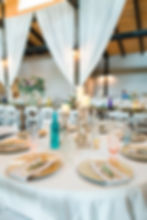 blue mountain vineyard dahlonega wedding venue-glorious moments photography-atlanta wedding photographer-vineyard mountain view