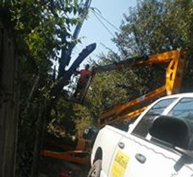 tree service pic 4.jpg