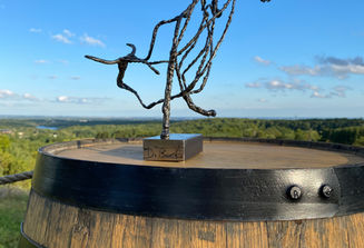 No Bull (balance one leg) img2.jpg