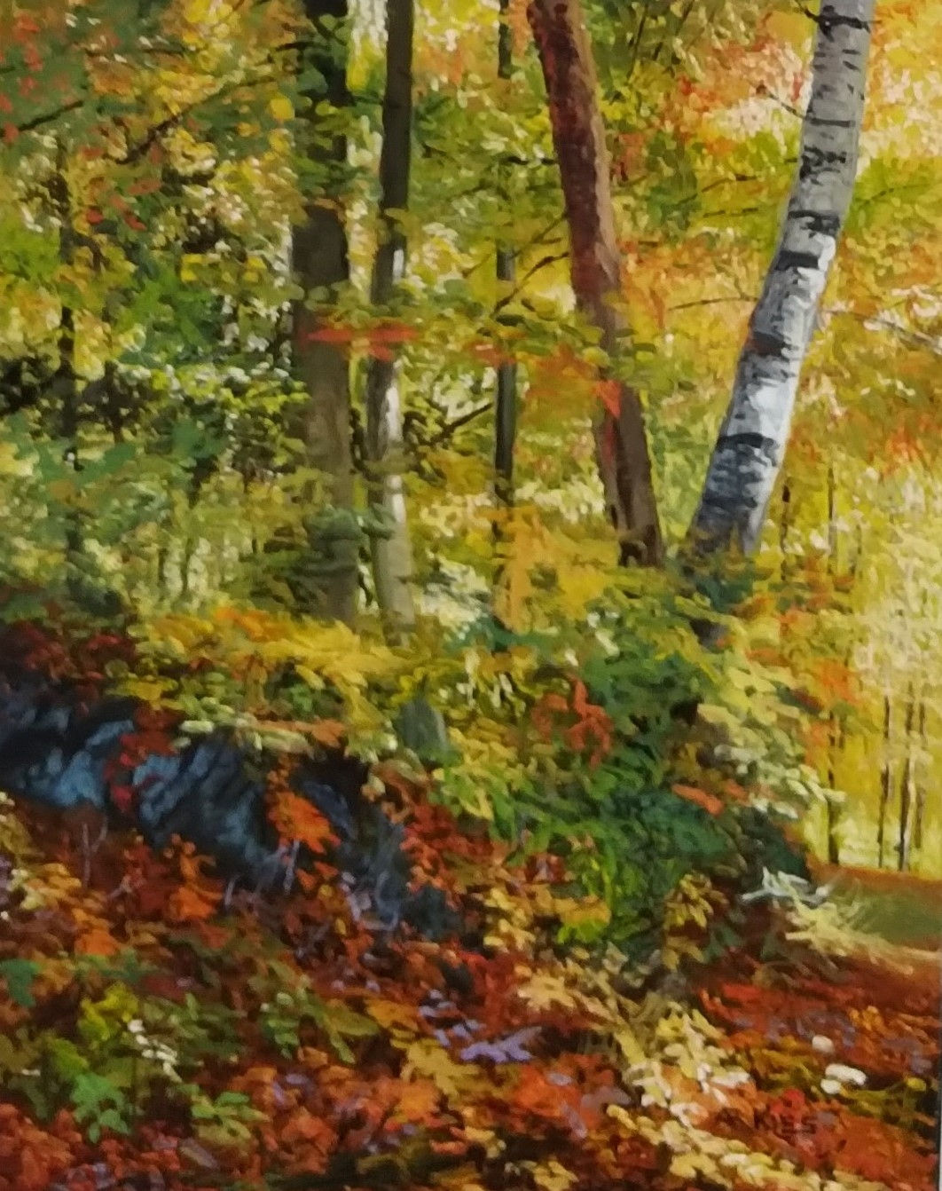 Fall Colors- Laurentians