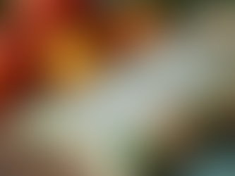 International Food Regulations