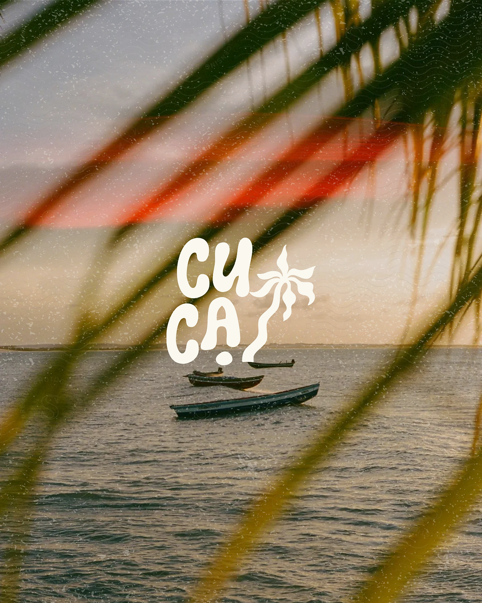 cuca1.png
