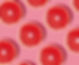Colorful fruit pattern of fresh grapefruit slices on pink background. Minimal flat lay con
