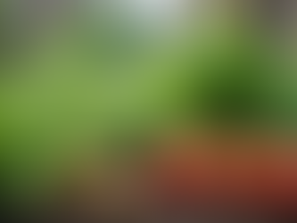 HOMMIKアバターの世界観