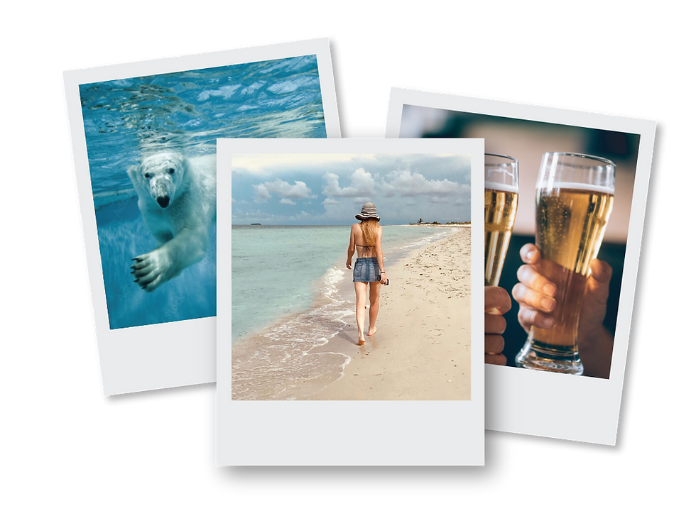 features-polaroid.png