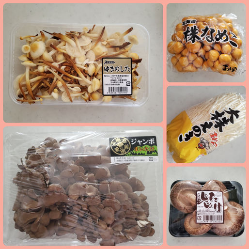 栄養いっぱいの(*ˊᵕˋ*)