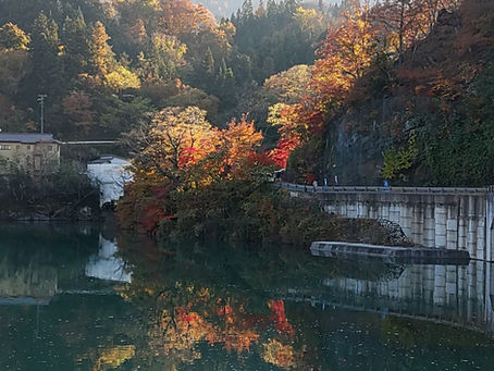 久米路公園の紅葉
