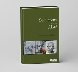 sole court.png