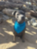 20250812_70722 pm_197C40.jpeg