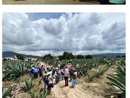 Concluye el Gobierno del EdoMex Semana de los Bosques con 1er Foro Regional de Agaves Pulqueros