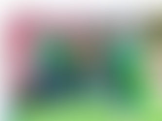 "La Mejor Jugada es Adoptar" anota 17 goles a favor del bienestar animal en los Destinos Futboleros del EdoMex