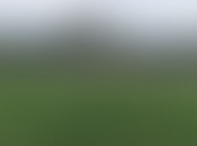 The Death of My Old Hometown: Sucking Out the Wealth, Filling the Gap with Fecal Pollution