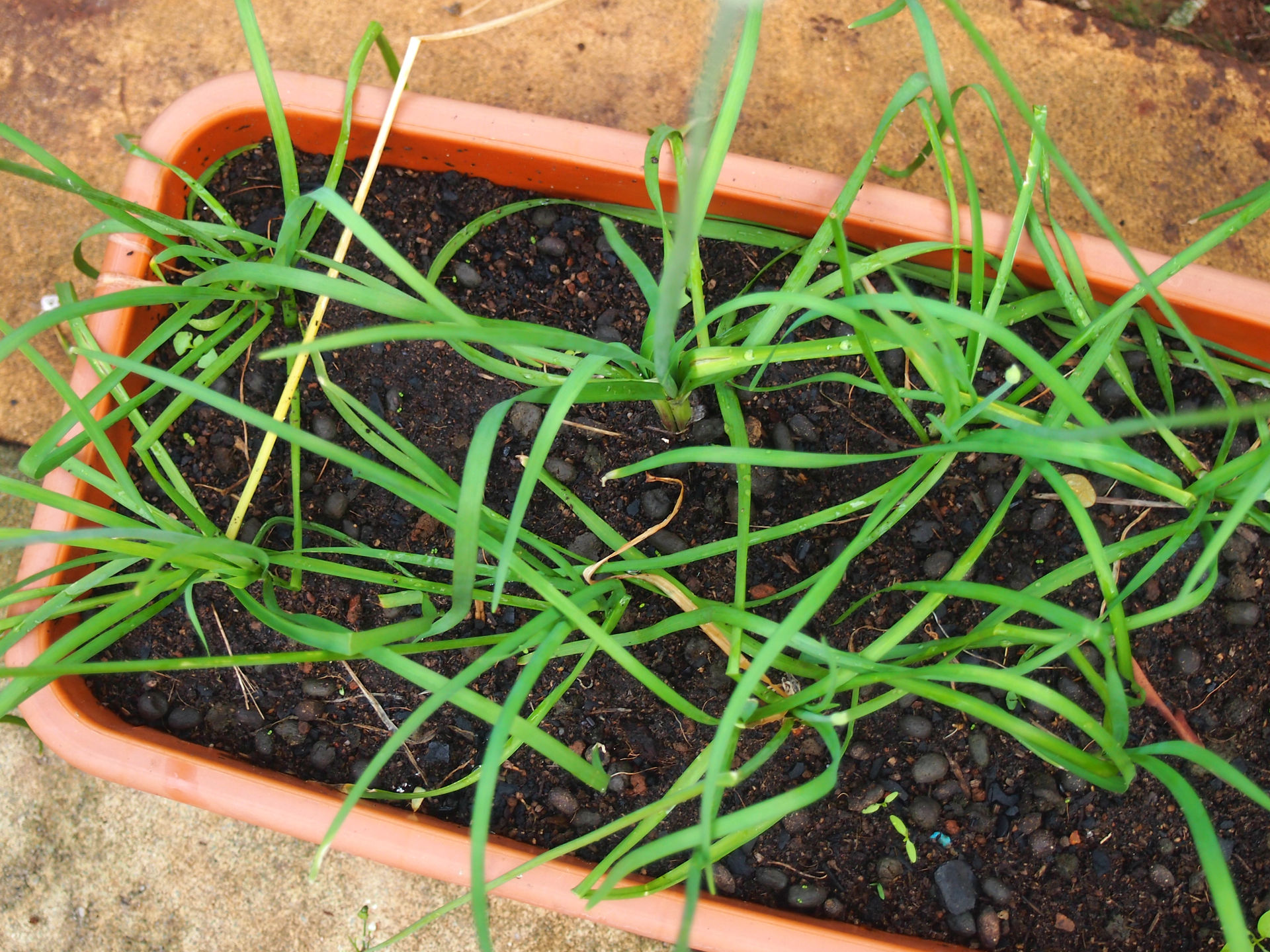 P1011062
