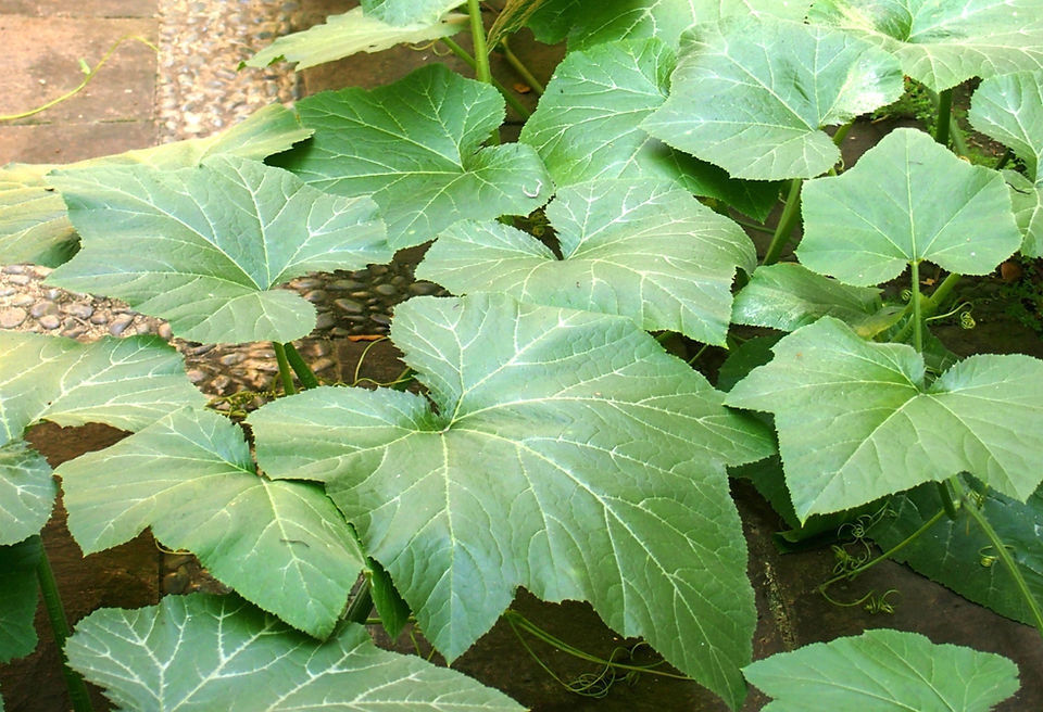 P1015627