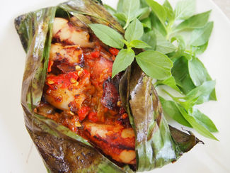 Pelasan