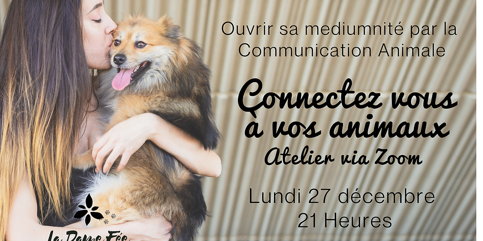 Connectez-vous à vos animaux - Atelier Zoom